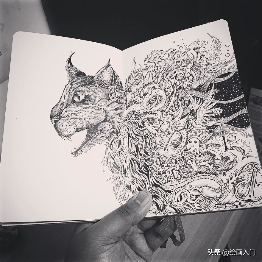 黑白创意手绘插画花素材,黑白创意艺术插画图片