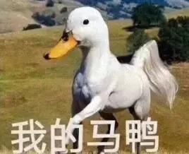 日本skii小灯泡多少钱,skii两款小灯泡对比