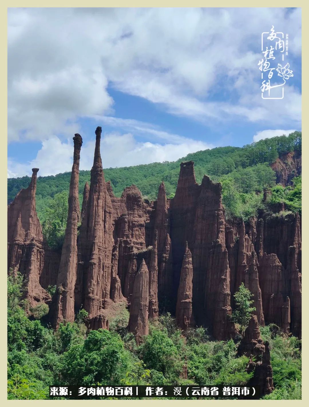 深情不及久伴,厚爱无需多言,择一“爱”,护一生