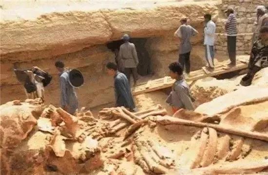 泰坦巨人族,泰坦巨人传说真实故事