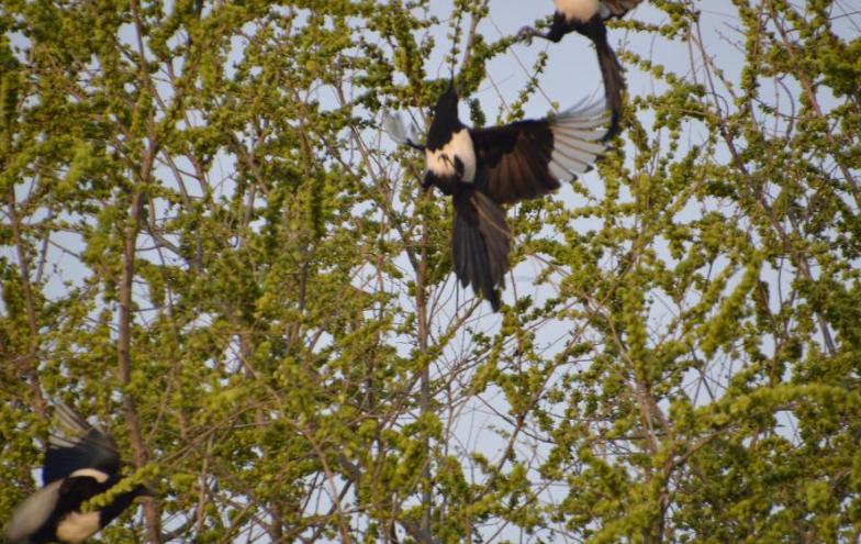 游览鲁迅公园的感悟,游玩鲁迅公园优秀作文