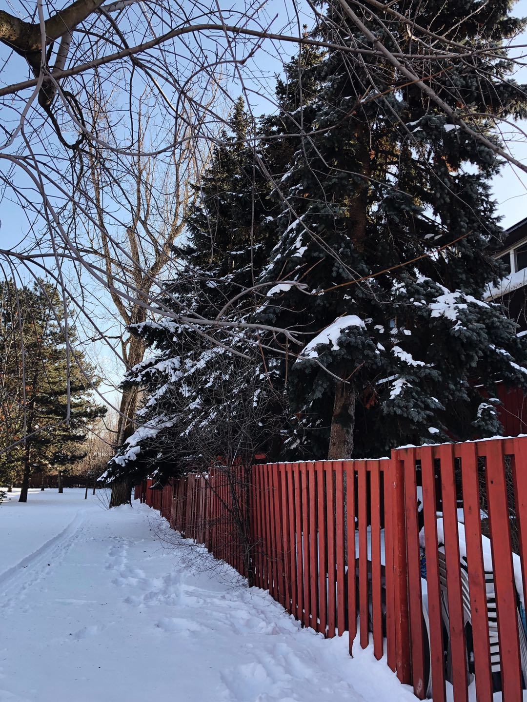 加拿大留学中介哪个靠谱,留学加拿大中介前十名