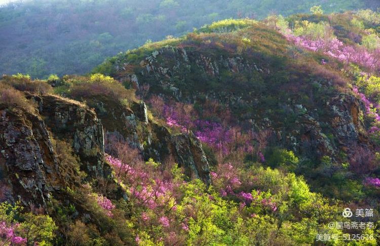 赤峰日报蒙古文,赤峰日报2005