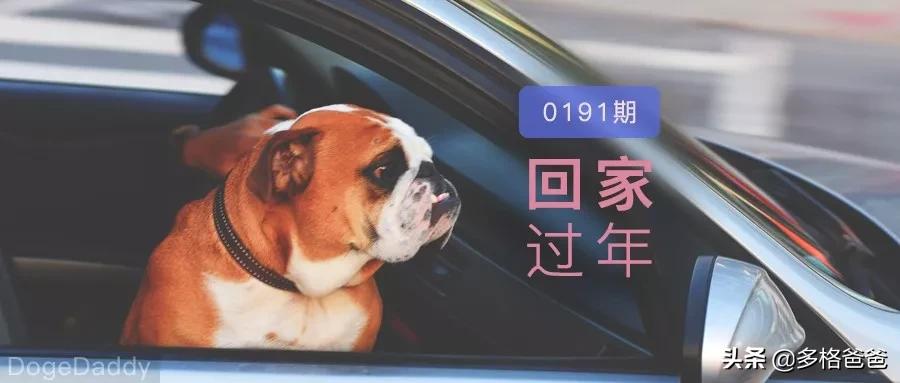 带狗狗回家过年注意事项,过年回家怎么带狗狗回去