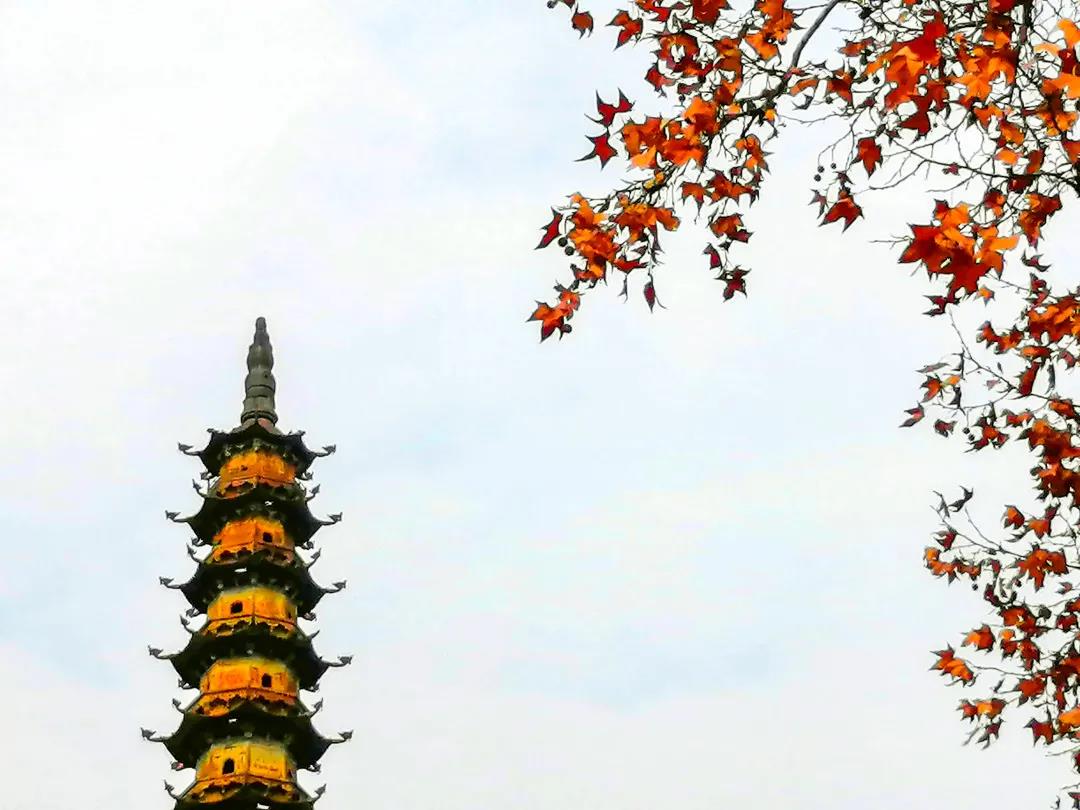 玉泉寺铁塔叫什么名字,玉泉寺铁塔舍利子