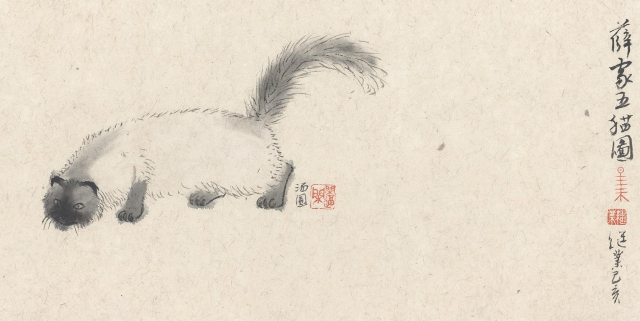 画家老薛,画速写的老薛