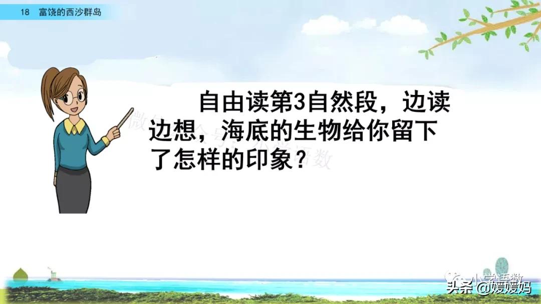 三年级第18课富饶的西沙群岛视频,三年级上册18富饶的西沙群岛笔记