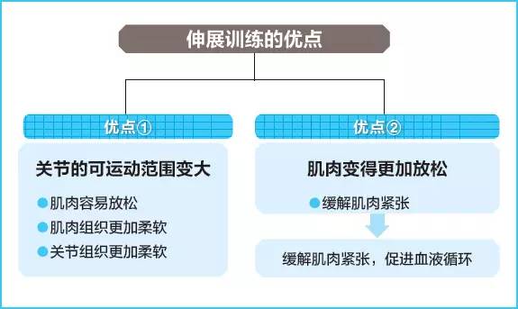 初学者如何进行拉伸,手把手拉伸