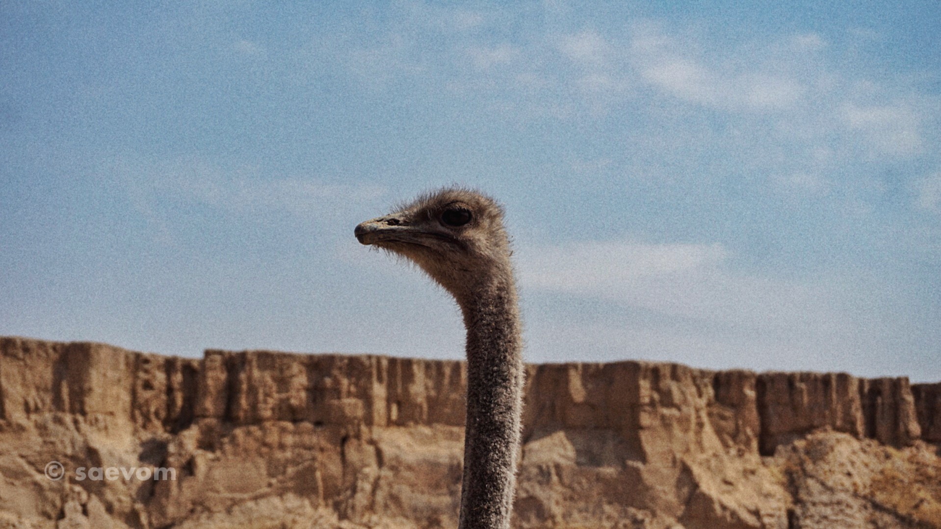 宁夏腾格里沙漠游玩攻略,宁夏沙漠旅行攻略