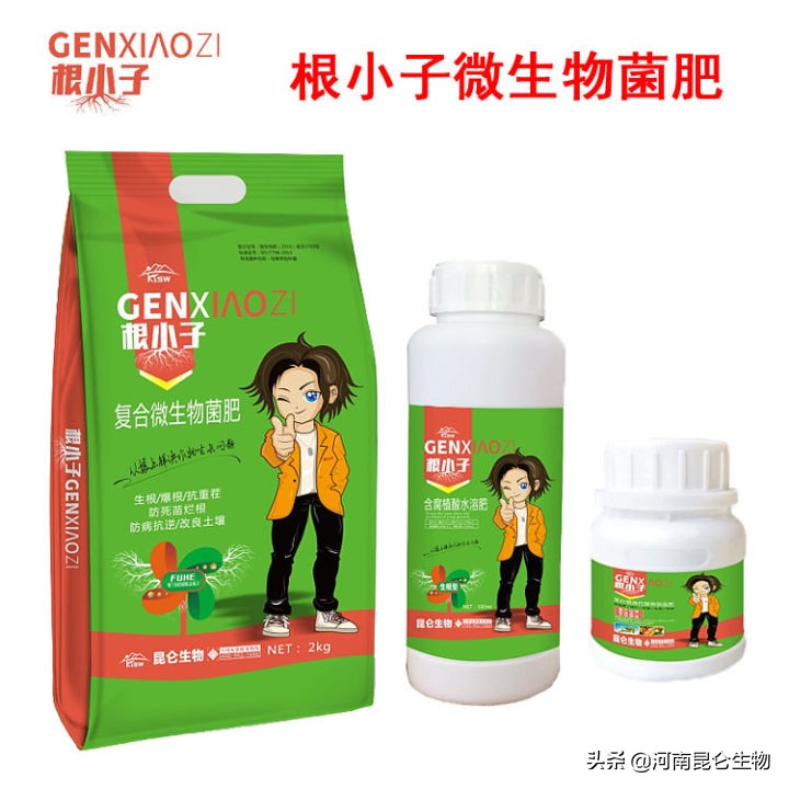 辣椒烂根最有效的方法,辣椒重茬根腐病怎么办