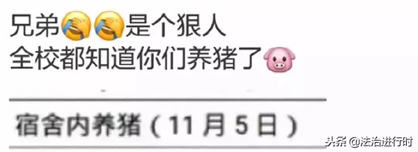大学宿舍养猪被通报,宿舍养猪被学校批评