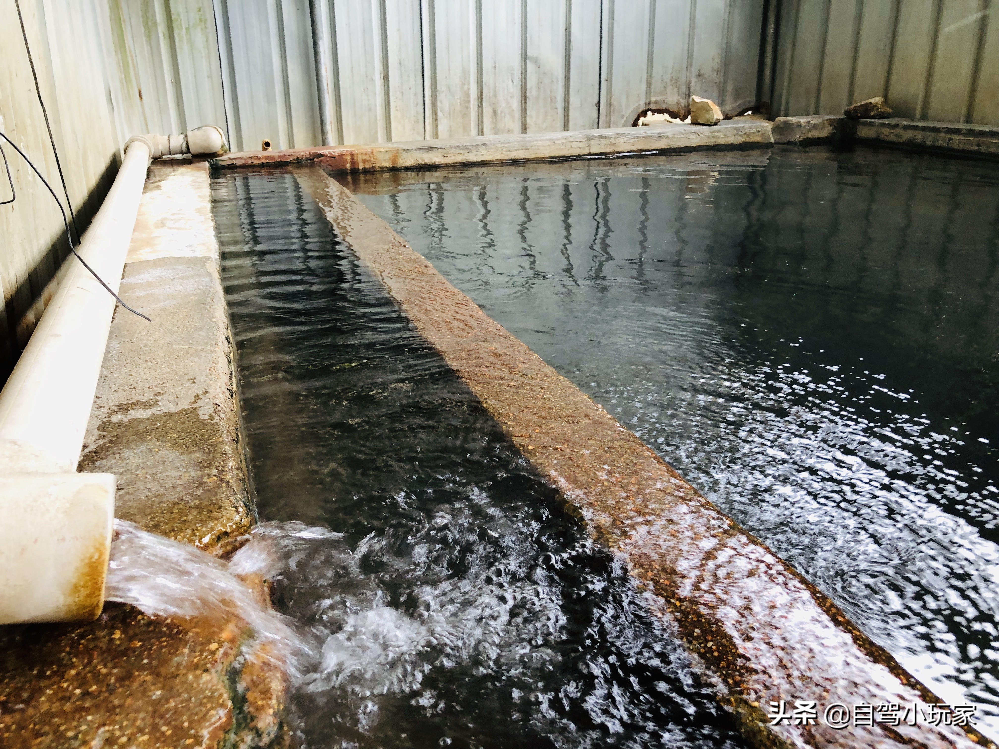 河源真正温泉有哪些,河源最值得泡温泉的地方