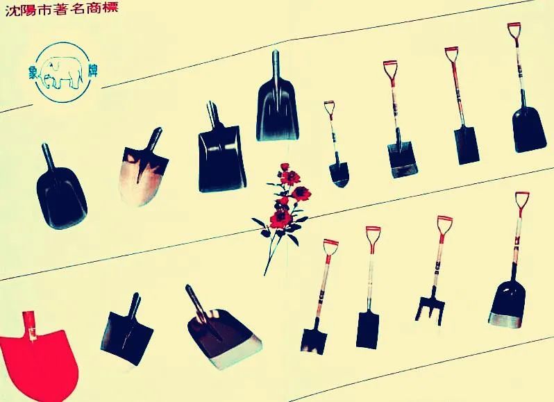 閾侀敼鎶婄嫍澶存媿鍑鸿,82骞村ぇ璞＄墝閽㈤敼