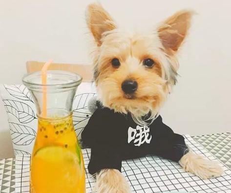 这五种水果有毒你吃了吗,这5种人要慎重吃香蕉