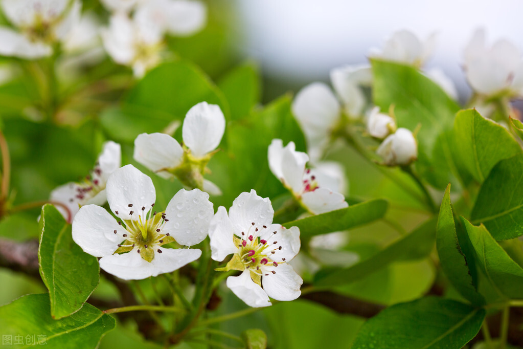 民之从事常于几成而败之慎终如始,民知从事常于几成而败之