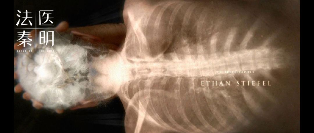 2019年影响力最高的十篇更新,最让你感到震撼的是哪一篇?