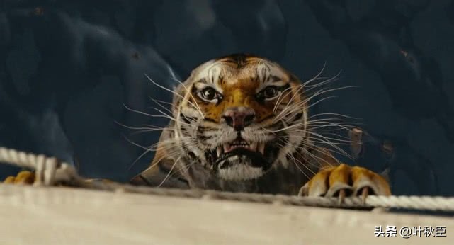 豆瓣9.9分以上的电影,豆瓣评分9.5以上的电影在线看