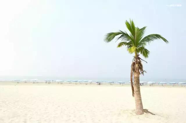 中国海岛最美的海边,中国最美十大海岛哪个最好玩