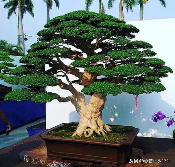 己所不欲勿施于人二年级日积月累,己所不欲勿施于人什么意思