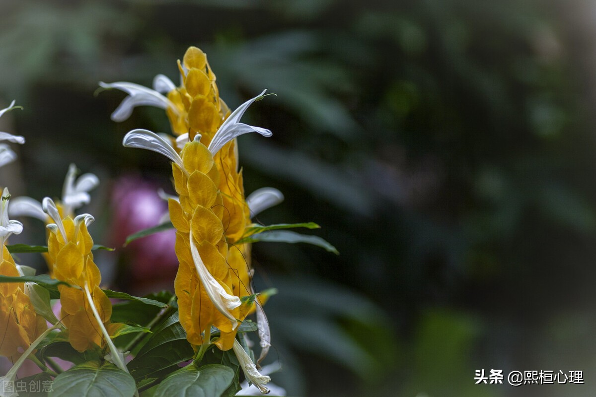 强迫症是“矫情”还是病?如何摆脱内心的执念