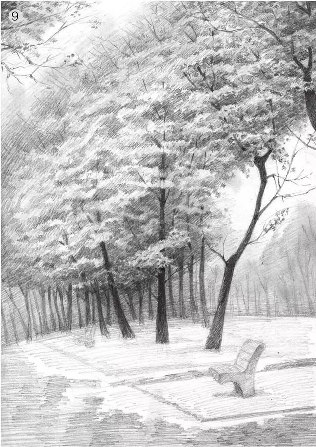 素描雨天树林图片简单版,用八开素描纸怎么画树林