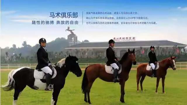 龙口高尔夫壹号海景房,山东龙口海景房价格表