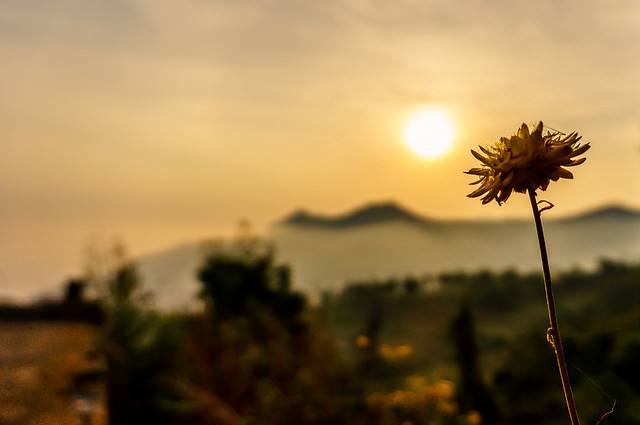 抑郁症真的有自救的办法,抑郁症的5个自我缓解方法