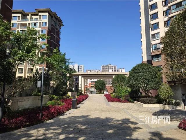 宜宾西区峯璟评测来啦！“老瓶新酒”，依然醇香...