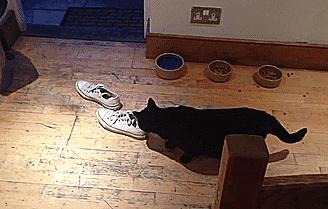 鞋里放个球，轻松解决臭脚问题，一个能顶45天