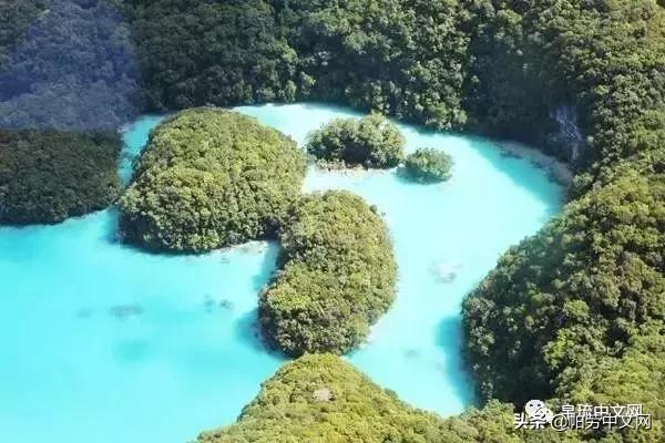 帕劳是哪个国家,帕劳群岛是哪个国家
