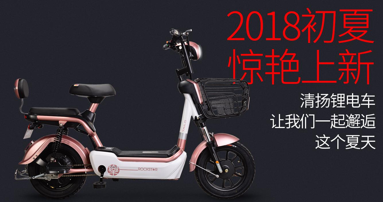 新国标有脚蹬的电动车,有新国标台铃电动车