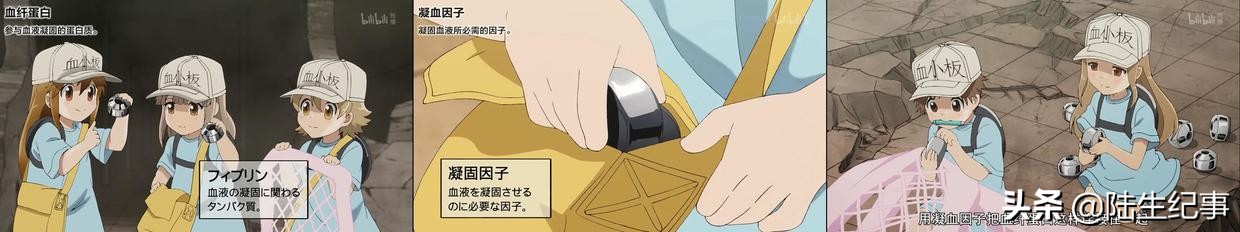 工作细胞日记,工作细胞笔记第1集