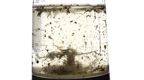 10种又好吃又简单的果汁做法,怎样做出好喝的果汁