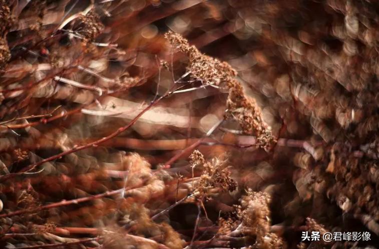 徕卡sl相机视频,徕卡sl最新款