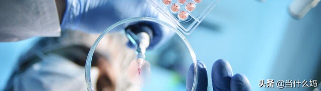 有机奶粉和非有机奶粉的区别,国产奶粉真的那么好吗