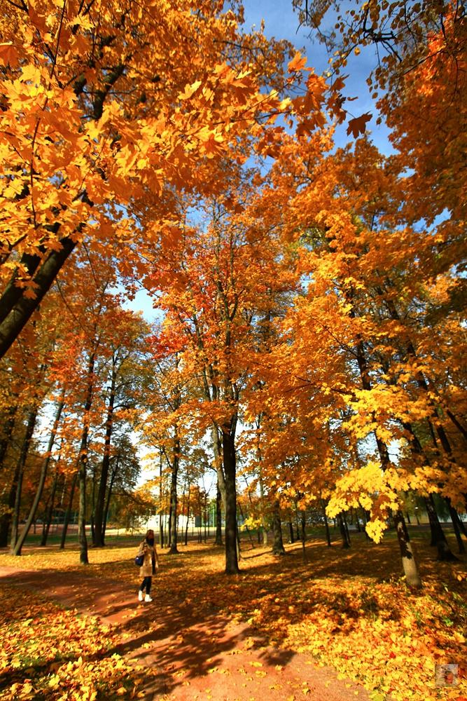 俄罗斯顶级奢华地方,绝美的风景俄罗斯