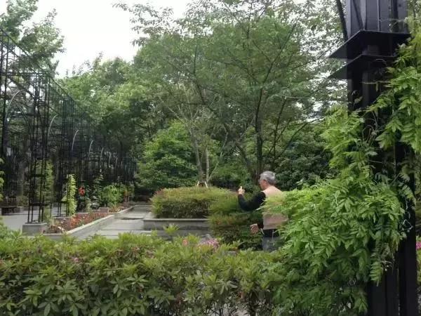 复兴公园里,居然藏着亦正亦邪的黄药师?