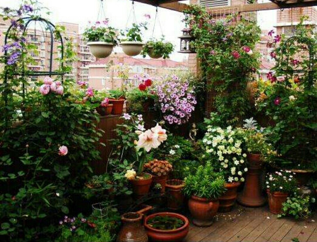 花卉误喷了除草剂怎么补救,花卉药害能自愈吗