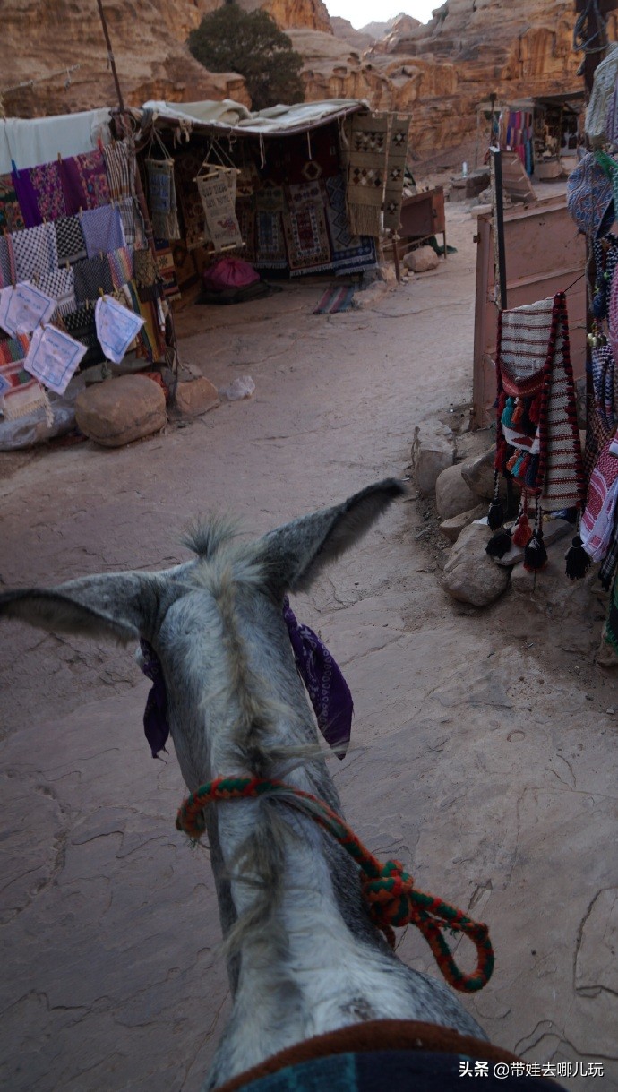 以色列约旦繁星之旅,约旦以色列之旅