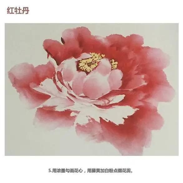 学习写意牡丹画的方法,学习写意牡丹画的步骤