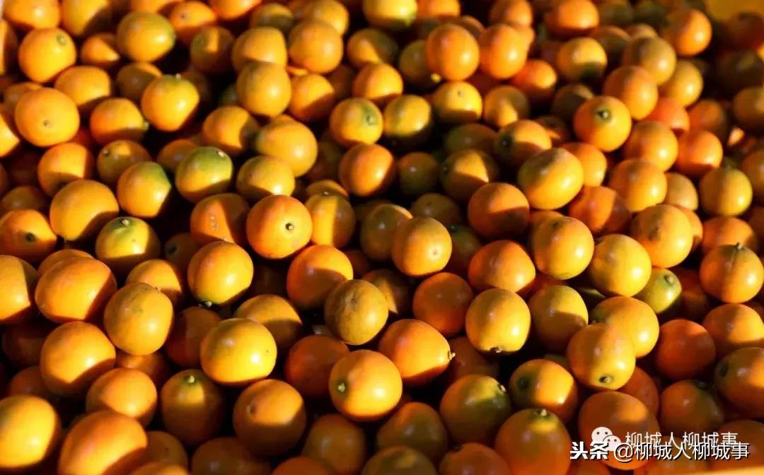 「微观柳州」你知道电商怎样征战脱贫攻坚战场吗？