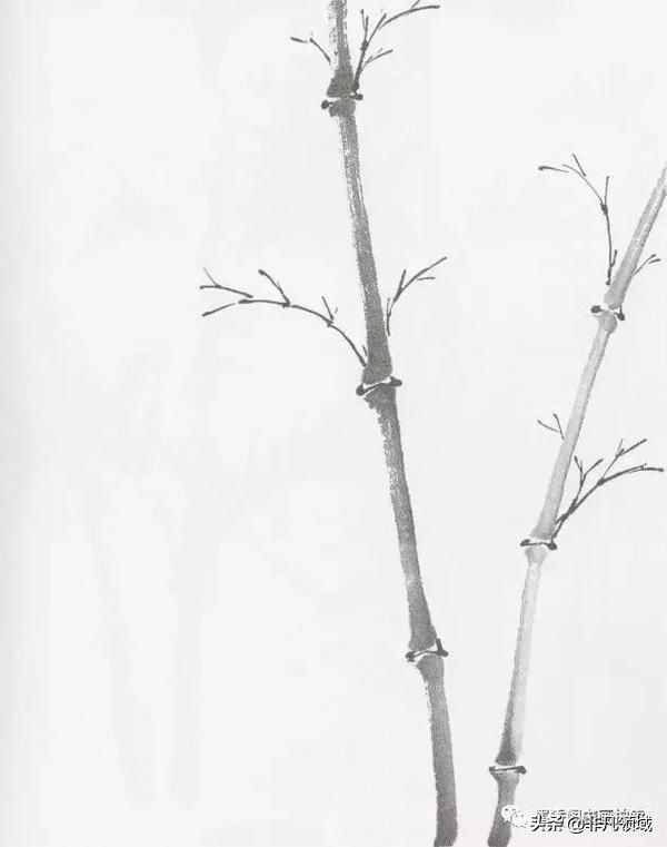 国画教程竹子的写意画法,国画写意竹子画法步骤