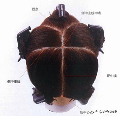 美发初学烫染分区,美发基础分区教程