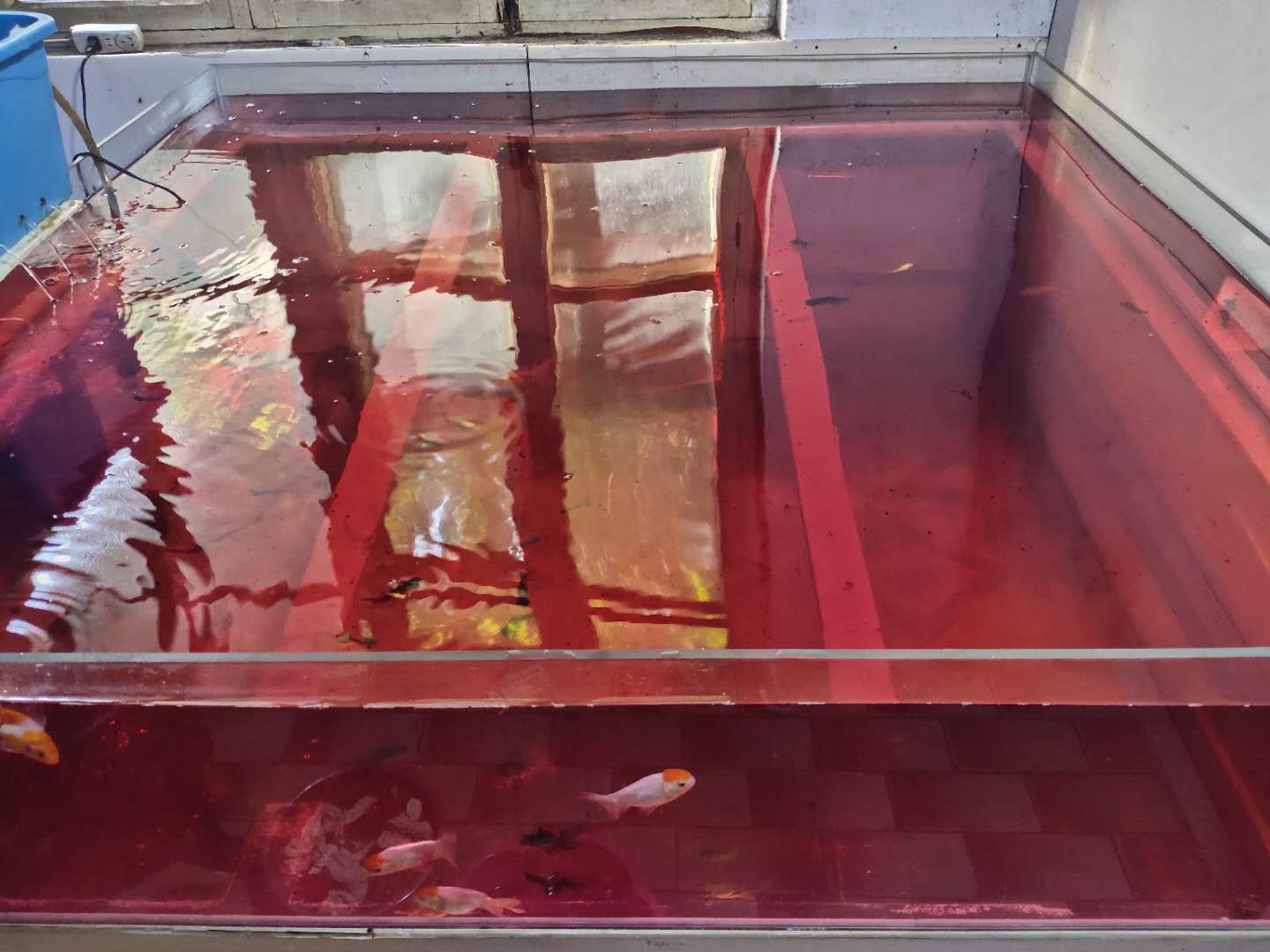 滤材需要用高锰酸钾消毒,高锰酸钾消毒后的滤材还可以用吗