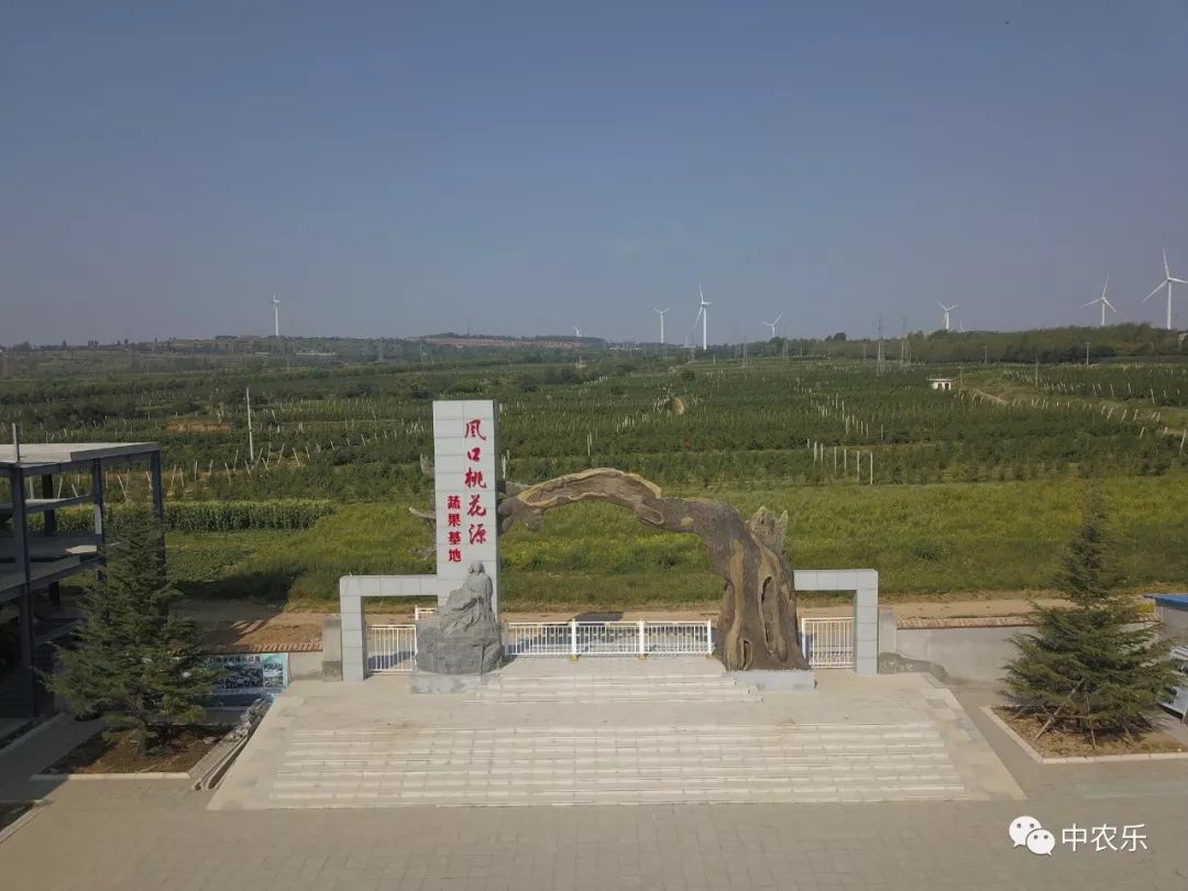 「运城日报」中农乐桃花源：“河东桃”的“大脑”