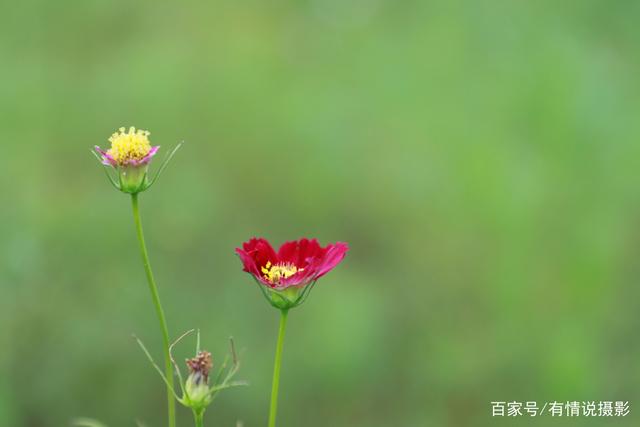 24-105镜头对比测试,怎样选相机镜头