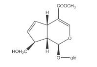 背它！考前必看82个易错考点
