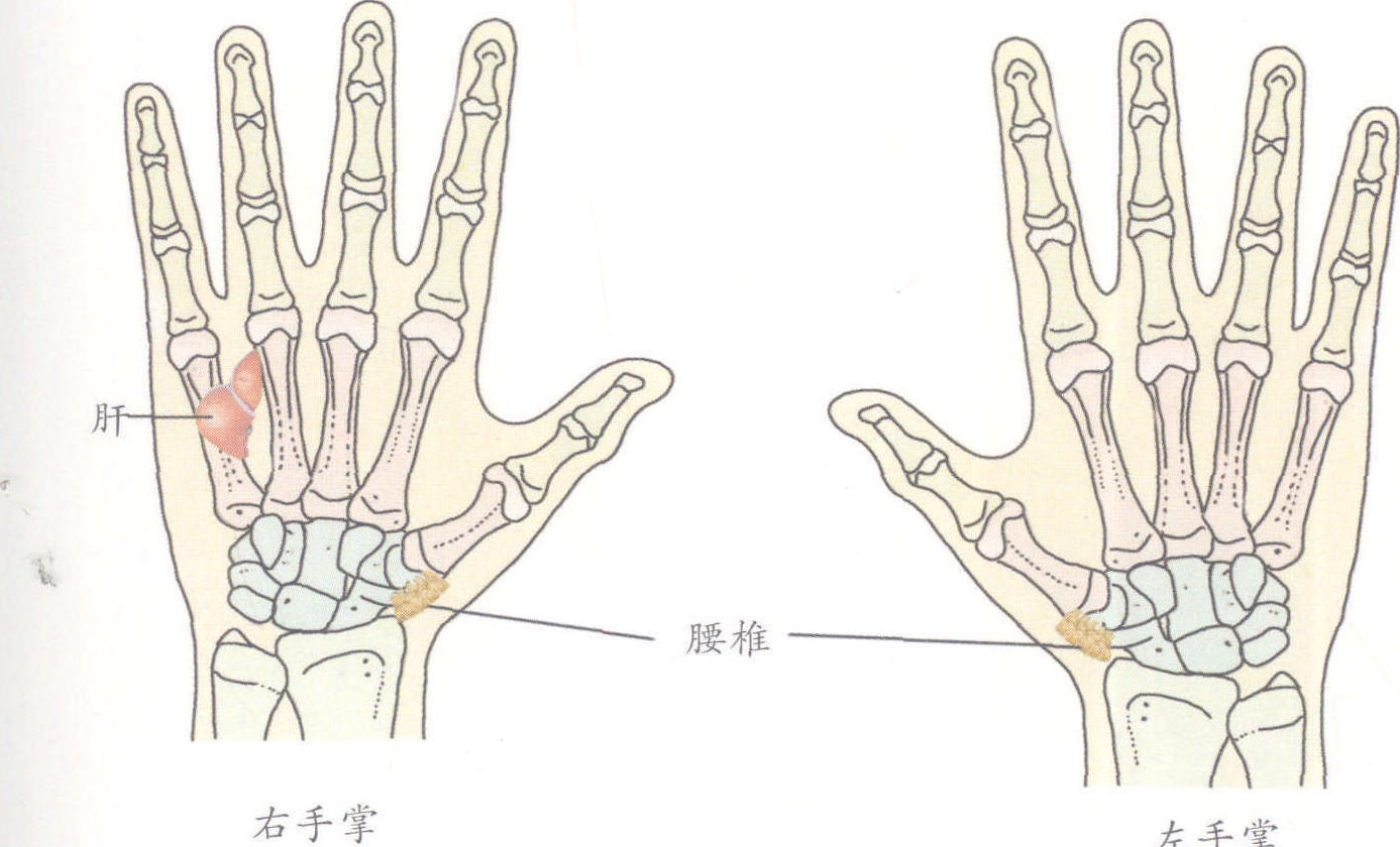 腰椎开裂腰痛的最快治疗方法,腰椎增生导致腰疼怎么理疗