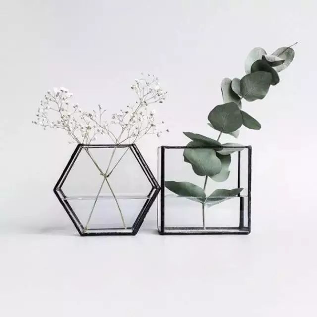 花店用的尤加利是什么品种,尤加利有几种