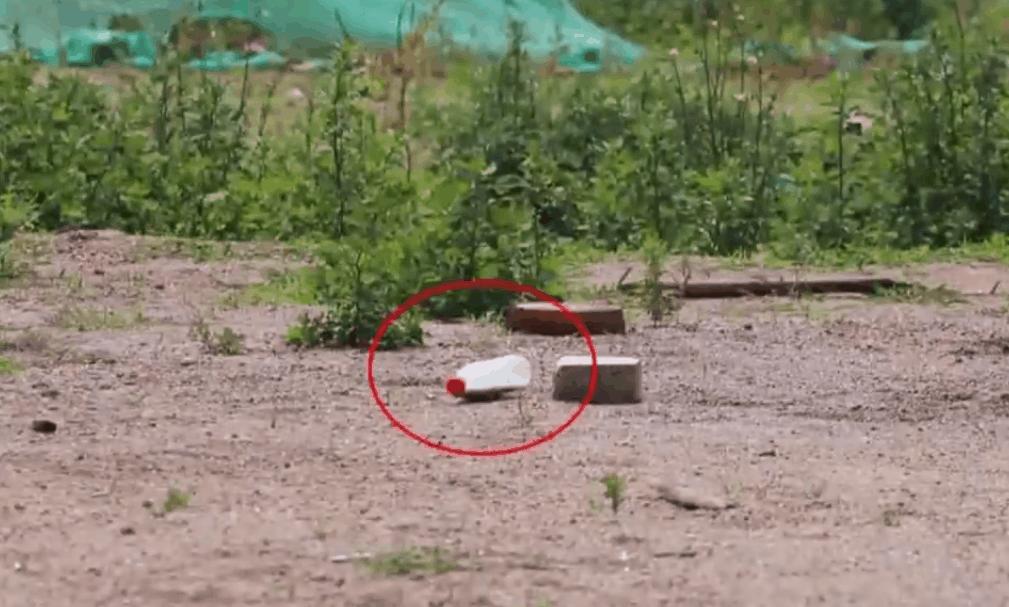 干燥剂引发的问题,干燥剂哪种是有毒的